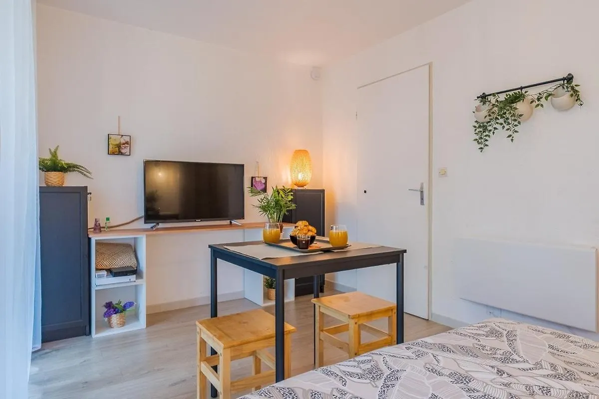 Les Muses - Avec Entree Autonome, Clim Neuve, Jardin, Parking Prive & Sa Piscine ! - Apartment Toulouse