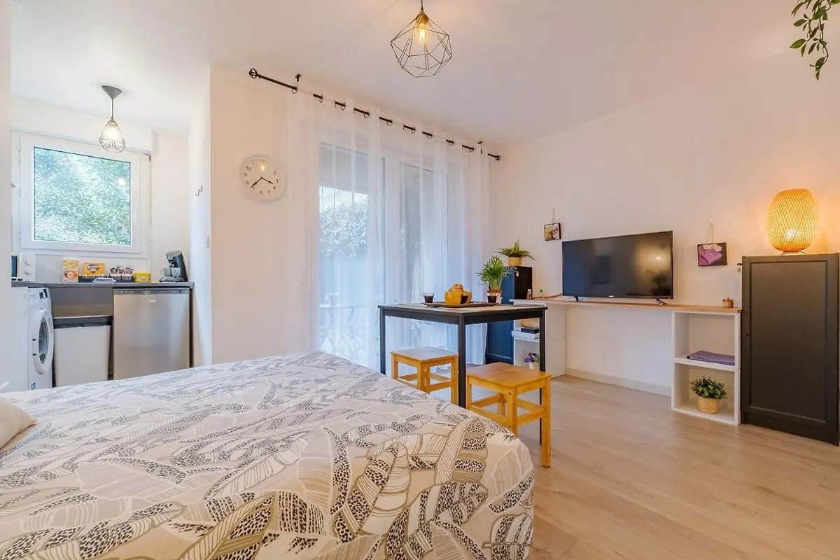 Les Muses - Avec Entree Autonome, Clim Neuve, Jardin, Parking Prive & Sa Piscine ! - Apartment Toulouse