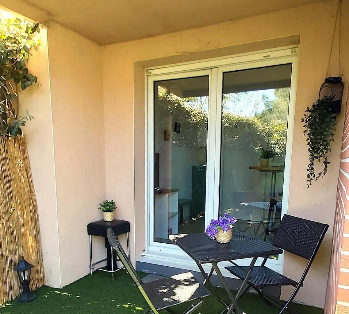Les Muses - Avec Entree Autonome, Clim Neuve, Jardin, Parking Prive & Sa Piscine ! - Apartment Toulouse France